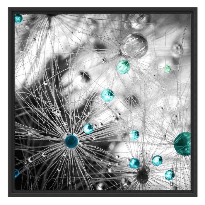 Wassertropfen auf Pusteblume Schattenfugenrahmen Quadratisch 70x70