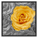 gelbe Rose im Rosenmeer Schattenfugenrahmen Quadratisch 70x70