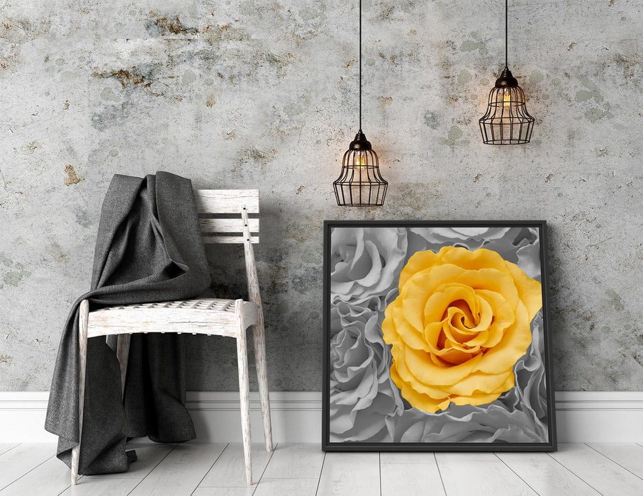 gelbe Rose im Rosenmeer Quadratisch Schattenfugenrahmen Dekovorschlag