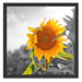 Nahaufnahme einer Sonnenblume Schattenfugenrahmen Quadratisch 55x55