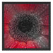 Rote Gerbera mit Wassertropfen Schattenfugenrahmen Quadratisch 55x55