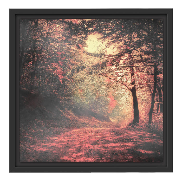 Waldstraße im Herbst Schattenfugenrahmen Quadratisch 40x40