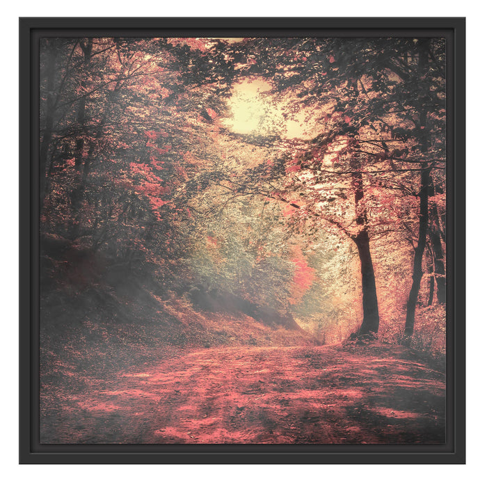 Waldstraße im Herbst Schattenfugenrahmen Quadratisch 55x55