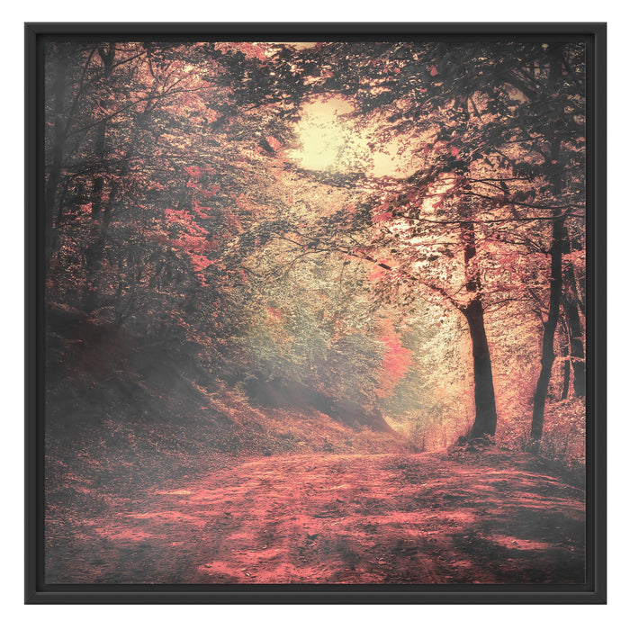 Waldstraße im Herbst Schattenfugenrahmen Quadratisch 70x70