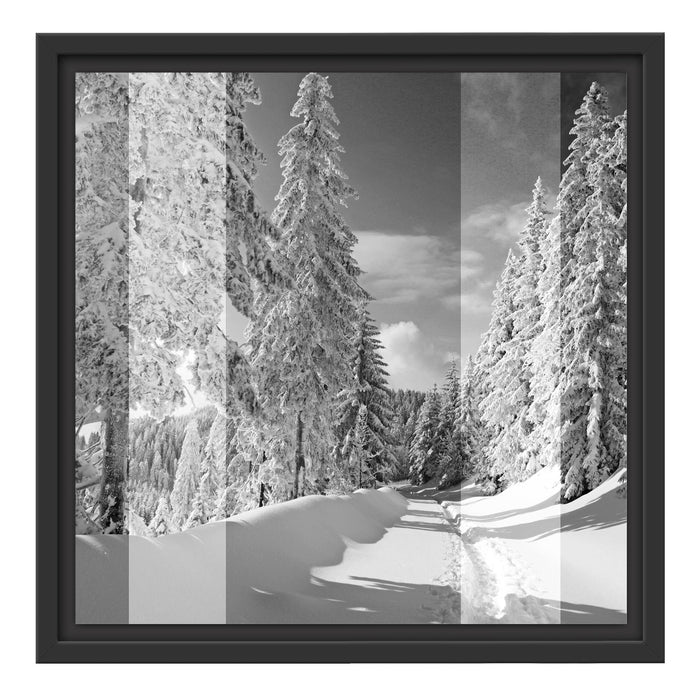 Winterlandschaft mit Bäumen Schattenfugenrahmen Quadratisch 40x40