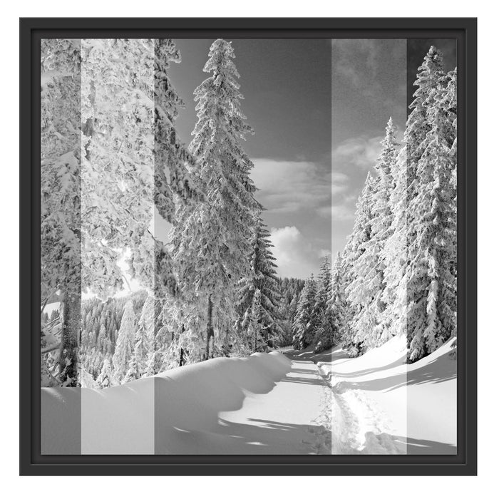 Winterlandschaft mit Bäumen Schattenfugenrahmen Quadratisch 55x55