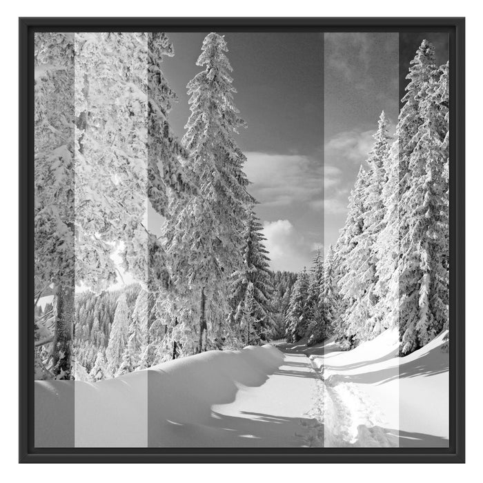 Winterlandschaft mit Bäumen Schattenfugenrahmen Quadratisch 70x70