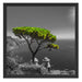 Baum am Mittelmeer Schattenfugenrahmen Quadratisch 55x55
