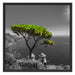 Baum am Mittelmeer Schattenfugenrahmen Quadratisch 70x70