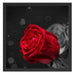 rote Rosen zum Valentinstag Schattenfugenrahmen Quadratisch 55x55