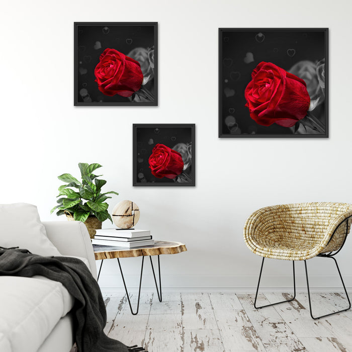 rote Rosen zum Valentinstag Quadratisch Schattenfugenrahmen Wohnzimmer