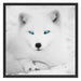 Polarfuchs mit strahlenden Augen Schattenfugenrahmen Quadratisch 70x70