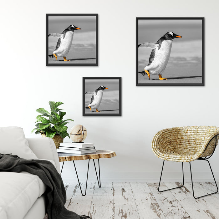 watschelnder Pinguin am Strand Quadratisch Schattenfugenrahmen Wohnzimmer