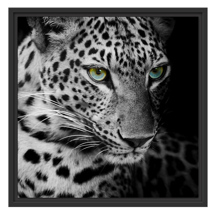 Leopardenkopf Schattenfugenrahmen Quadratisch 55x55