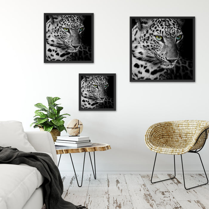 Leopardenkopf Quadratisch Schattenfugenrahmen Wohnzimmer