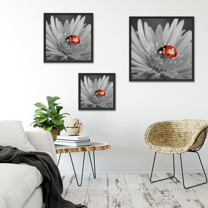 leuchtender Marienkäfer auf Blüte Quadratisch Schattenfugenrahmen Wohnzimmer