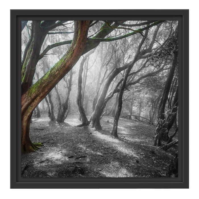 einsamer Baum in tristem Grau Schattenfugenrahmen Quadratisch 40x40