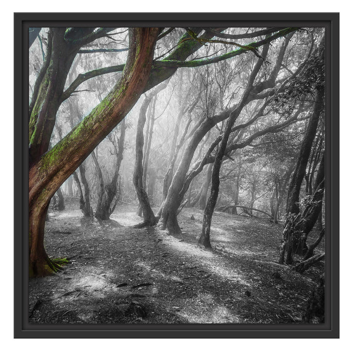 einsamer Baum in tristem Grau Schattenfugenrahmen Quadratisch 55x55