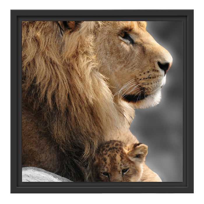Löwe mit Löwenbaby Schattenfugenrahmen Quadratisch 40x40