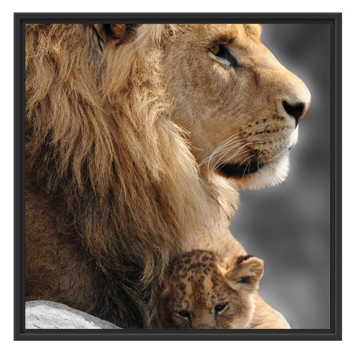 Löwe mit Löwenbaby Schattenfugenrahmen Quadratisch 70x70