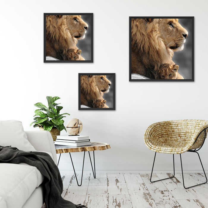 Löwe mit Löwenbaby Quadratisch Schattenfugenrahmen Wohnzimmer