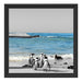 lustige Pinguine am Strand Schattenfugenrahmen Quadratisch 40x40