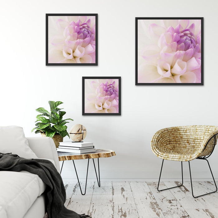 Blüte mit lila Blütenbläter Quadratisch Schattenfugenrahmen Wohnzimmer