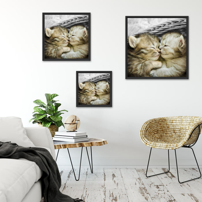 Zwei süße Babykatzen im Korb Quadratisch Schattenfugenrahmen Wohnzimmer