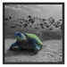 Schildkröte im Ozean Schattenfugenrahmen Quadratisch 70x70