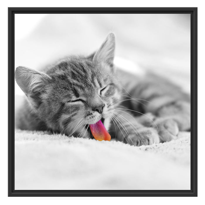 kleines gähnendes Kätzchen Schattenfugenrahmen Quadratisch 70x70