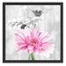 schöne Gerberas bei Tageslicht Schattenfugenrahmen Quadratisch 55x55