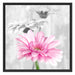 schöne Gerberas bei Tageslicht Schattenfugenrahmen Quadratisch 70x70