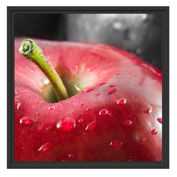 roter Apfel mit Wassertropfen Schattenfugenrahmen Quadratisch 55x55