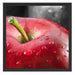 roter Apfel mit Wassertropfen Schattenfugenrahmen Quadratisch 55x55