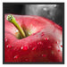 roter Apfel mit Wassertropfen Schattenfugenrahmen Quadratisch 70x70