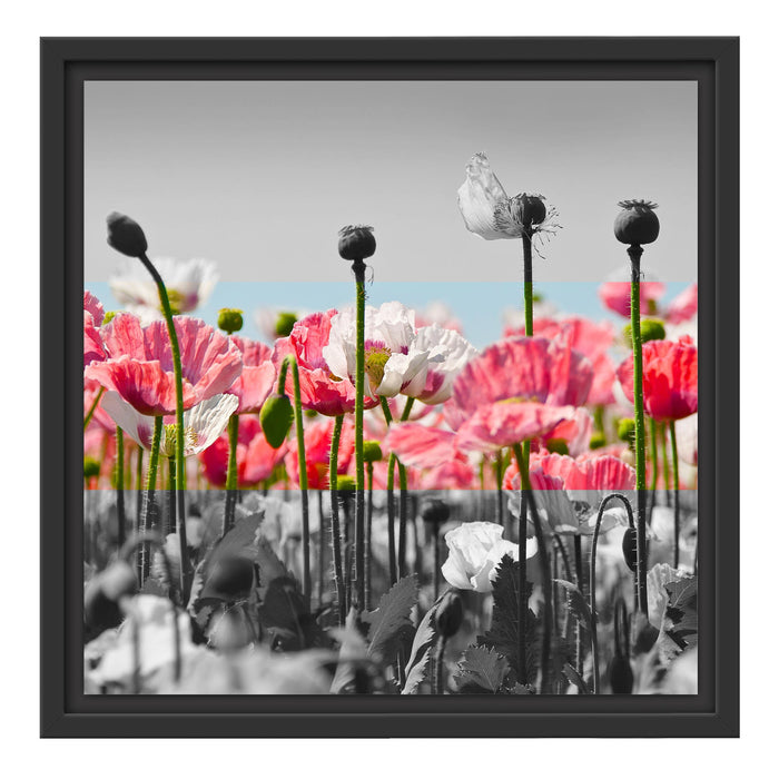 Blumenwiese Mohnblumen Schattenfugenrahmen Quadratisch 40x40