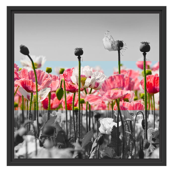 Blumenwiese Mohnblumen Schattenfugenrahmen Quadratisch 55x55