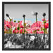 Blumenwiese Mohnblumen Schattenfugenrahmen Quadratisch 55x55