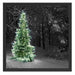 Weihnachtsbaum im Winter Schattenfugenrahmen Quadratisch 55x55