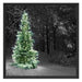 Weihnachtsbaum im Winter Schattenfugenrahmen Quadratisch 70x70