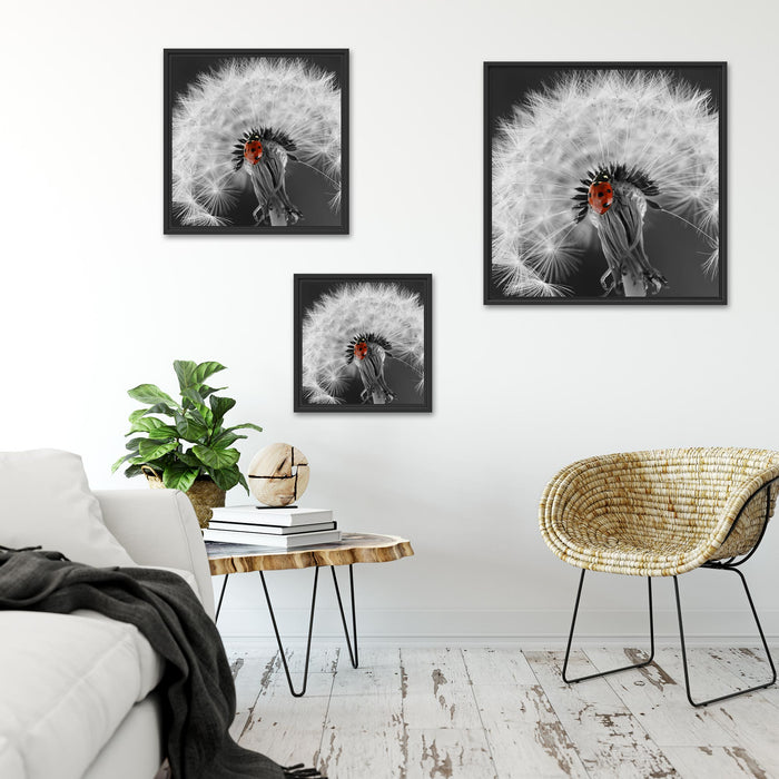 schöner Marienkäfer auf Pusteblume Quadratisch Schattenfugenrahmen Wohnzimmer