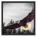 großer fliegender Adler Schattenfugenrahmen Quadratisch 55x55