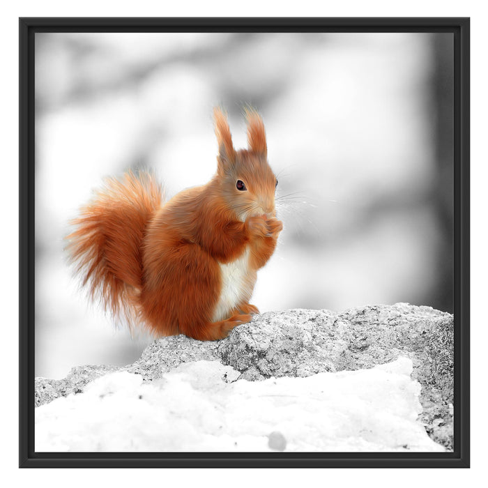 Eichhörnchen in verschneitem Wald Schattenfugenrahmen Quadratisch 70x70