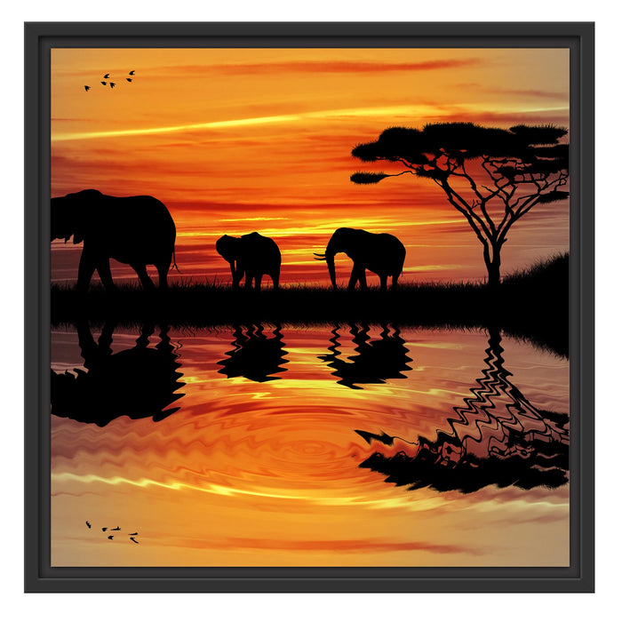 Afrika Elefant in Sonnenschein Schattenfugenrahmen Quadratisch 55x55