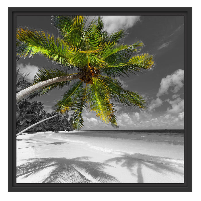riesige Palme über Strand Schattenfugenrahmen Quadratisch 55x55