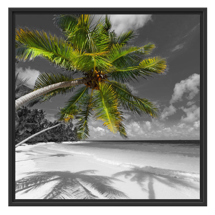 riesige Palme über Strand Schattenfugenrahmen Quadratisch 70x70
