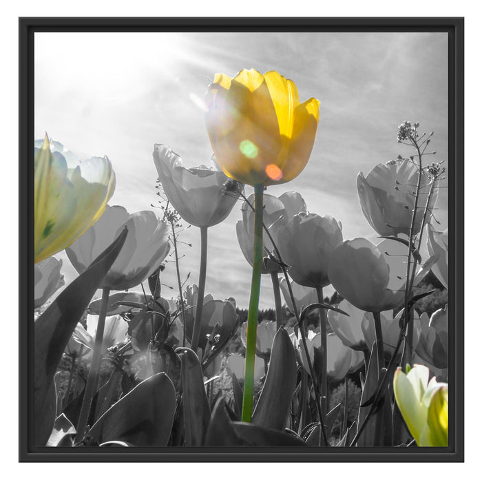wunderschöne Tulpenwiese Schattenfugenrahmen Quadratisch 70x70