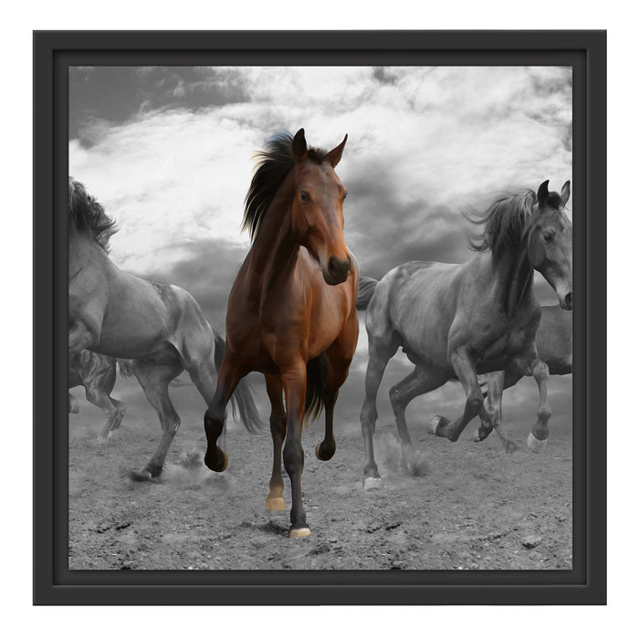 Mustangherde im Sand Schattenfugenrahmen Quadratisch 40x40