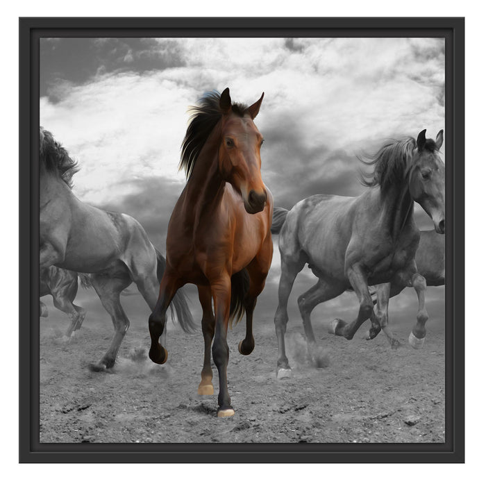 Mustangherde im Sand Schattenfugenrahmen Quadratisch 55x55