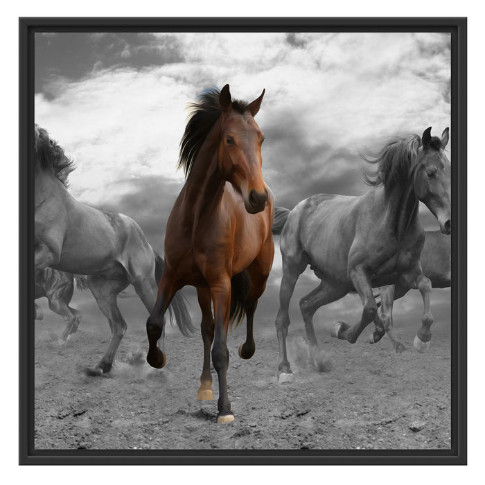 Mustangherde im Sand Schattenfugenrahmen Quadratisch 70x70